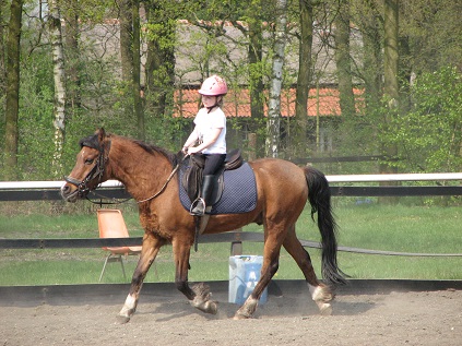 Eerste paardrijles