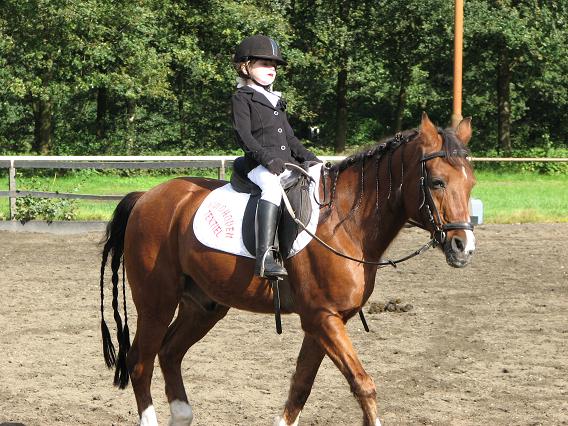 Dressuur
