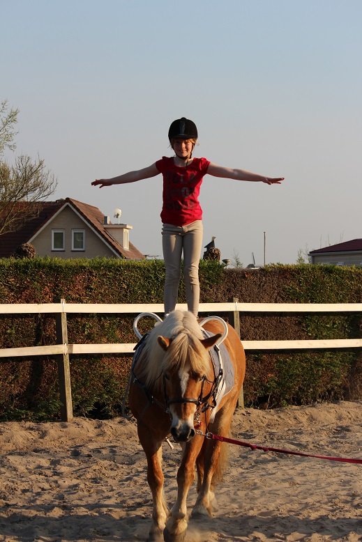 Voltige