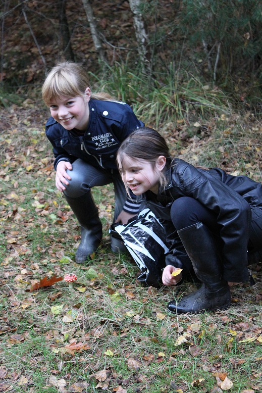 In het bos